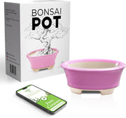 Glazed Ceramic Bonsai Pot | Pink Oval